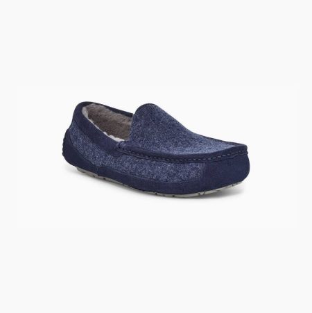 UGG Ascot Wool Dark Blue Slippers for Men (AVZP65920)